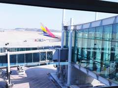 2019.03.17. 도쿄여행 1일차