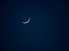 [국뷔] 복사꽃 10