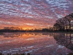 노을이 가장 아름다운 날 나를 데리러 와