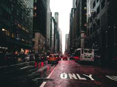 [스팁버키] 빗 속 뉴욕