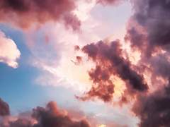 우리의 행복에 끝이 존재하더라도