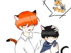 호랑이 순 X 고양이 훈