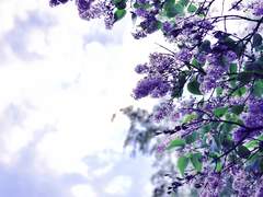 [아이나나/이오리] 다정한 사람들