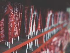 키타마스 설정 백업