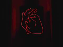 [선건] 타인의 삶