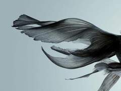 [망기무선] 전략