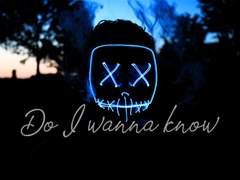 Do I wanna know?