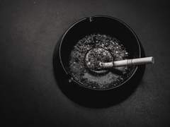 [태건] 피의 계보