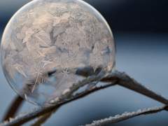 [찬백] 한 겨울에 얼음 꽃이 피는 소리가 들리면
