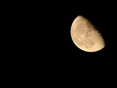 비겁자의 도피처