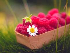 바람으로 오신 그대