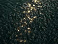 [원홋] 우리의 우리