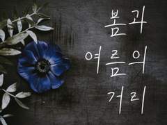 봄과 여름의 거리