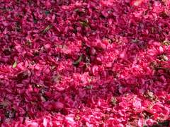 [수건] 아무도 듣지 않을 말