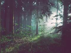 [엘런리바] 사냥꾼 (下)