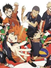 [히나른]하이큐 매니저 썰