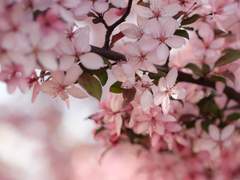 주천자목] 어느 평범한 날