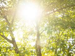 [백망되/최한케일] heat wave