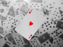 [현제유진] Dear My Alice