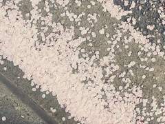 너는 몰라도 되는 일이야