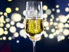 그것 역시 하나의 답이어서.