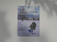 #19. eternal sunshine