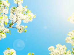 [히지오키] 평화로운 세상에서 - 다섯 번째(완)