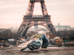 [루시산] 러브송