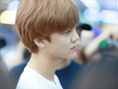 너와 길을 걸을 때 불어오는 봄바람