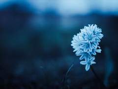 VIRUS (바이러스) - (1/2)