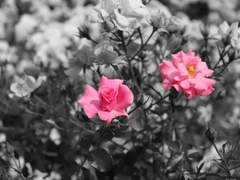 [쬬른/자렴묘재] UNDEAD 00