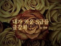 [내스급]상대적 이해자