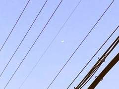 [댕햄] 봄에 오는 첫눈