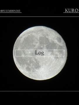 Log