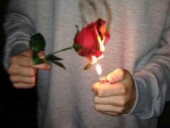 사랑이 저물잖아요