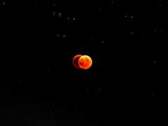 [레일로] 인간의 조건 - 1