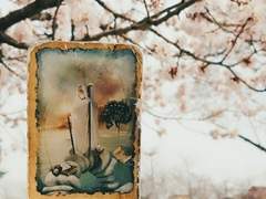 타로카드 덱 소개