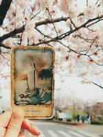 타로카드 덱 소개