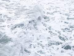 [루시산] Return to White