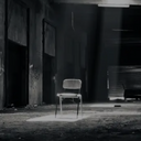 브러시/브샤누아