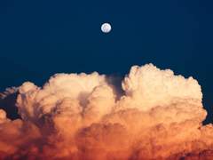 기타 그림 백업