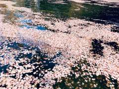 천천히 있는 그대로 받아들일게요. 2화