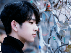 [JBX진영]내옆에너