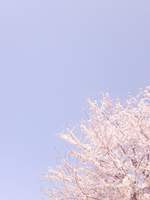 영원한 7일의 도시 2차