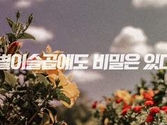 [피아스코] 별이슬골에도 비밀은 있다