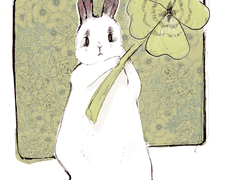 행복이 가득한 하루 행운이 넘치는 하루