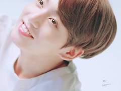 [소장본 외전 1] 벚꽃 엔딩