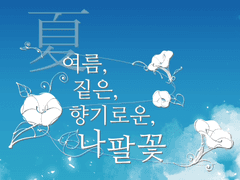 [광염]여름, 짙은, 향기로운, 나팔꽃