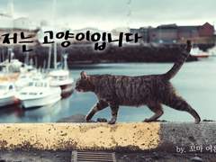 저는 고양이입니다