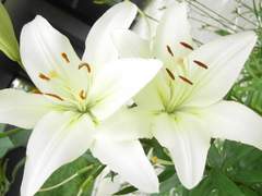 [국뷔] 투명인간